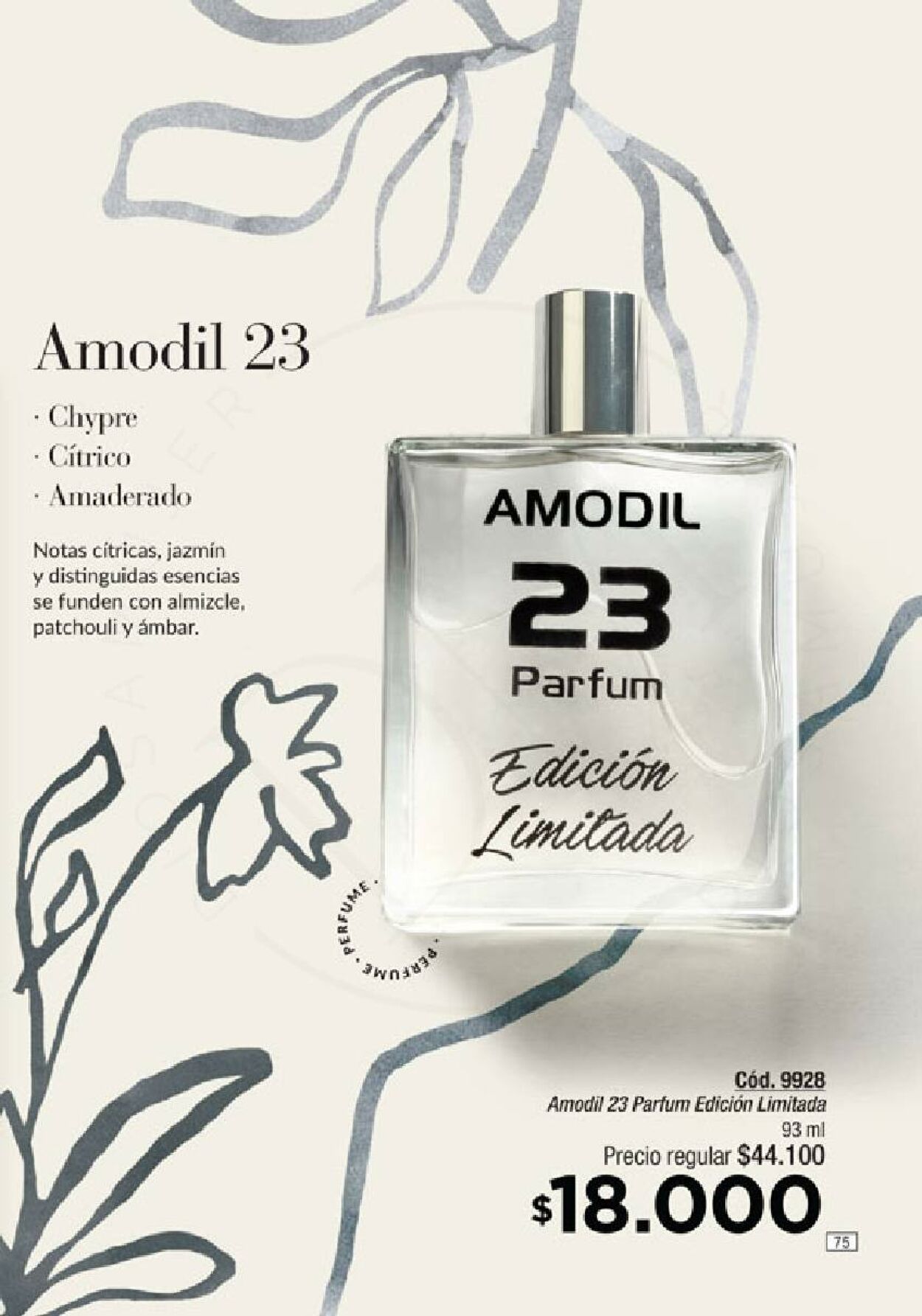 Folleto Amodil 22.10.2024 - 10.11.2024