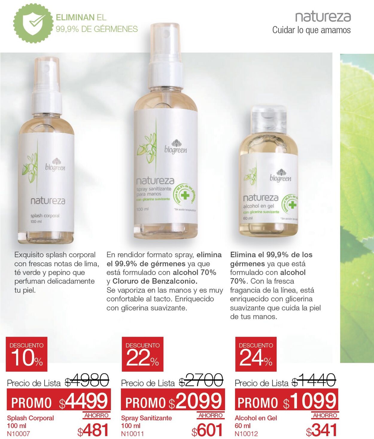 Folleto Biogreen 01.02.2024 - 01.03.2024