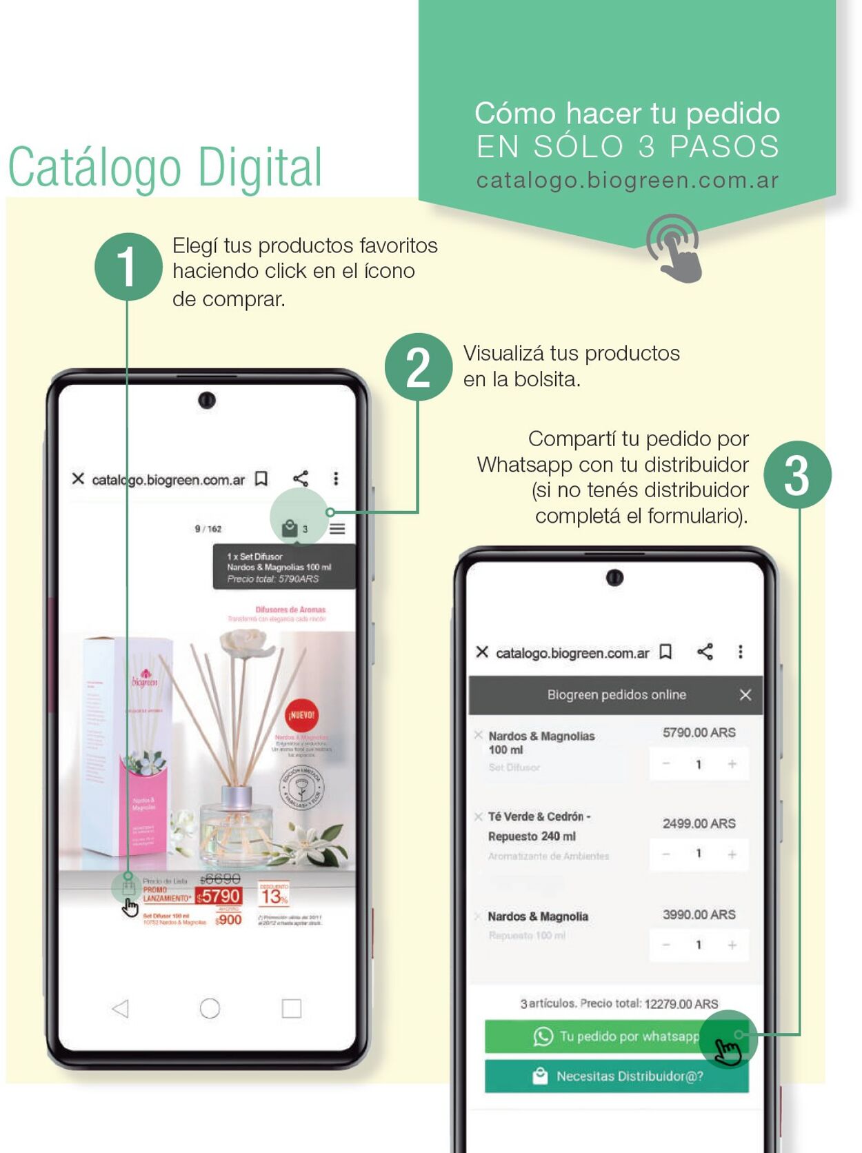 Folleto Biogreen 01.12.2023 - 01.01.2024