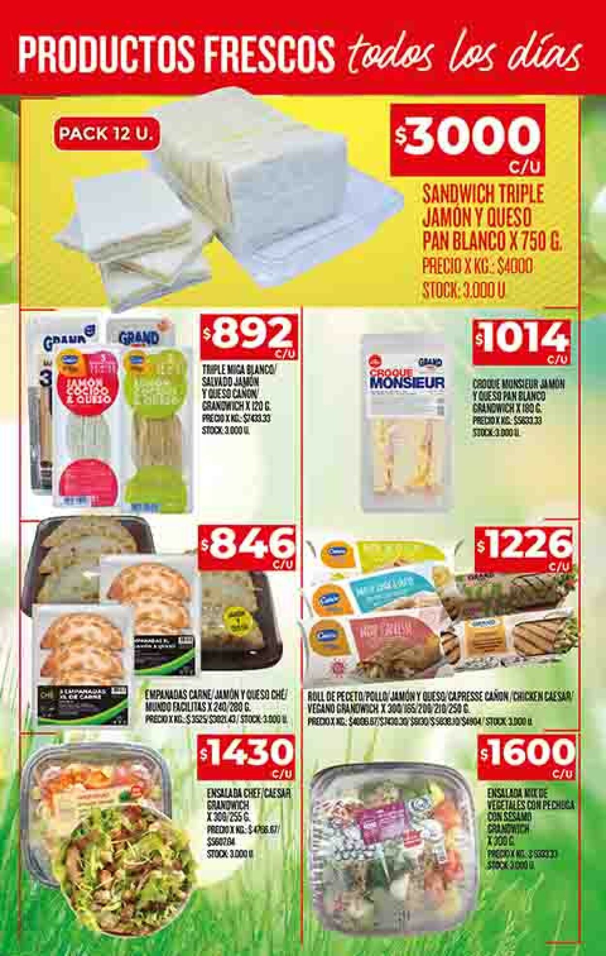 Folleto Dia 24.08.2023 - 30.08.2023