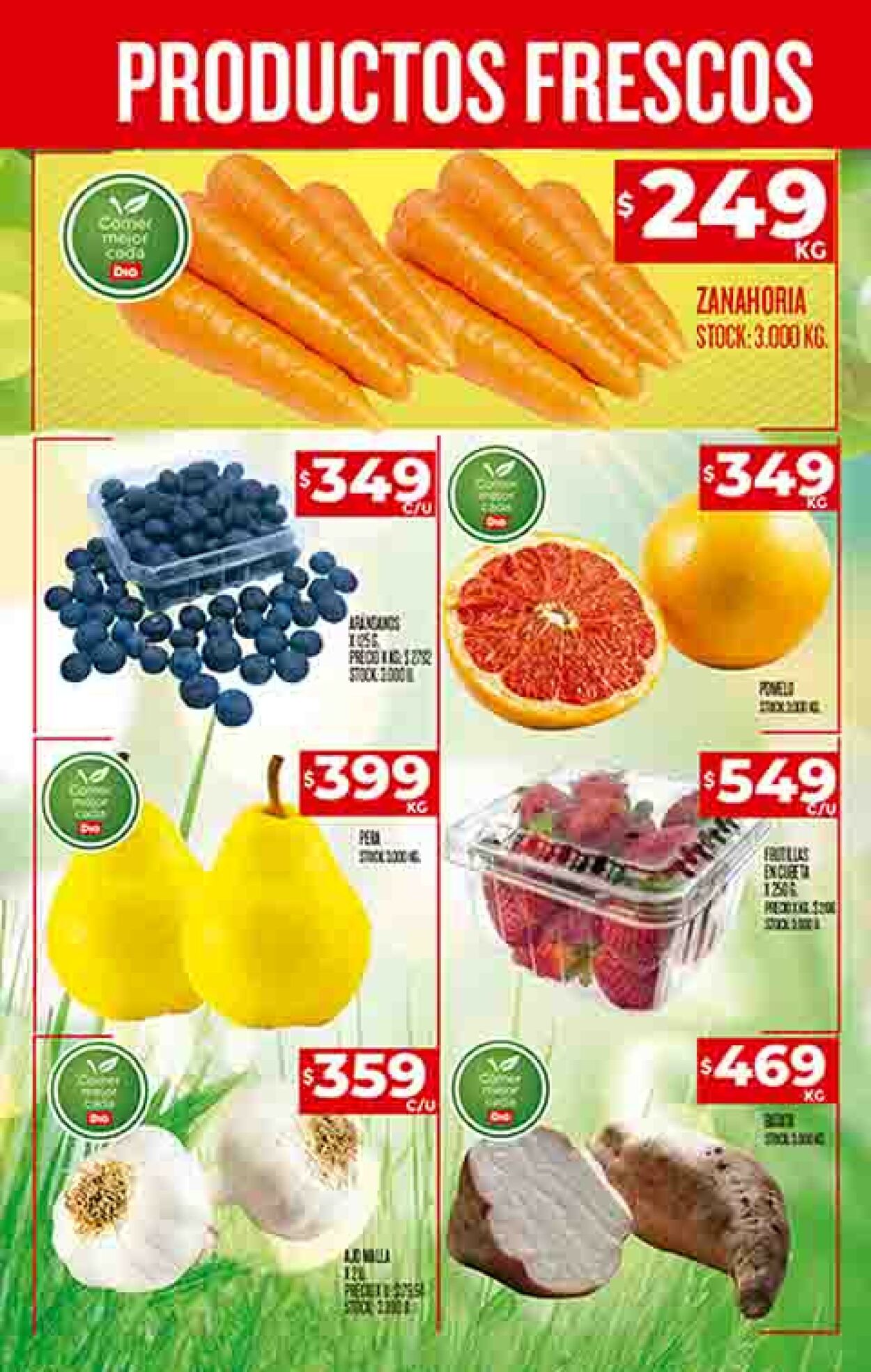 Folleto Dia 24.08.2023 - 30.08.2023