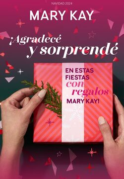 Folleto Mary Kay 05.11.2024 - 01.01.2025