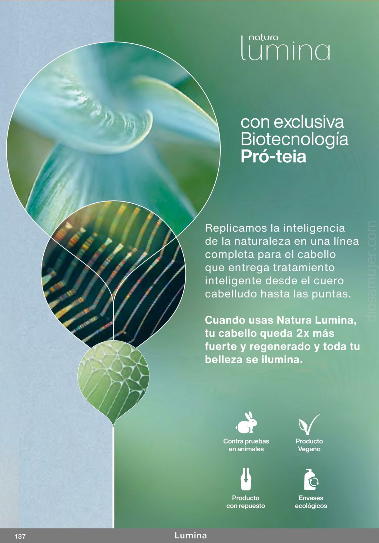 Folleto Natura 18.06.2023 - 08.07.2023