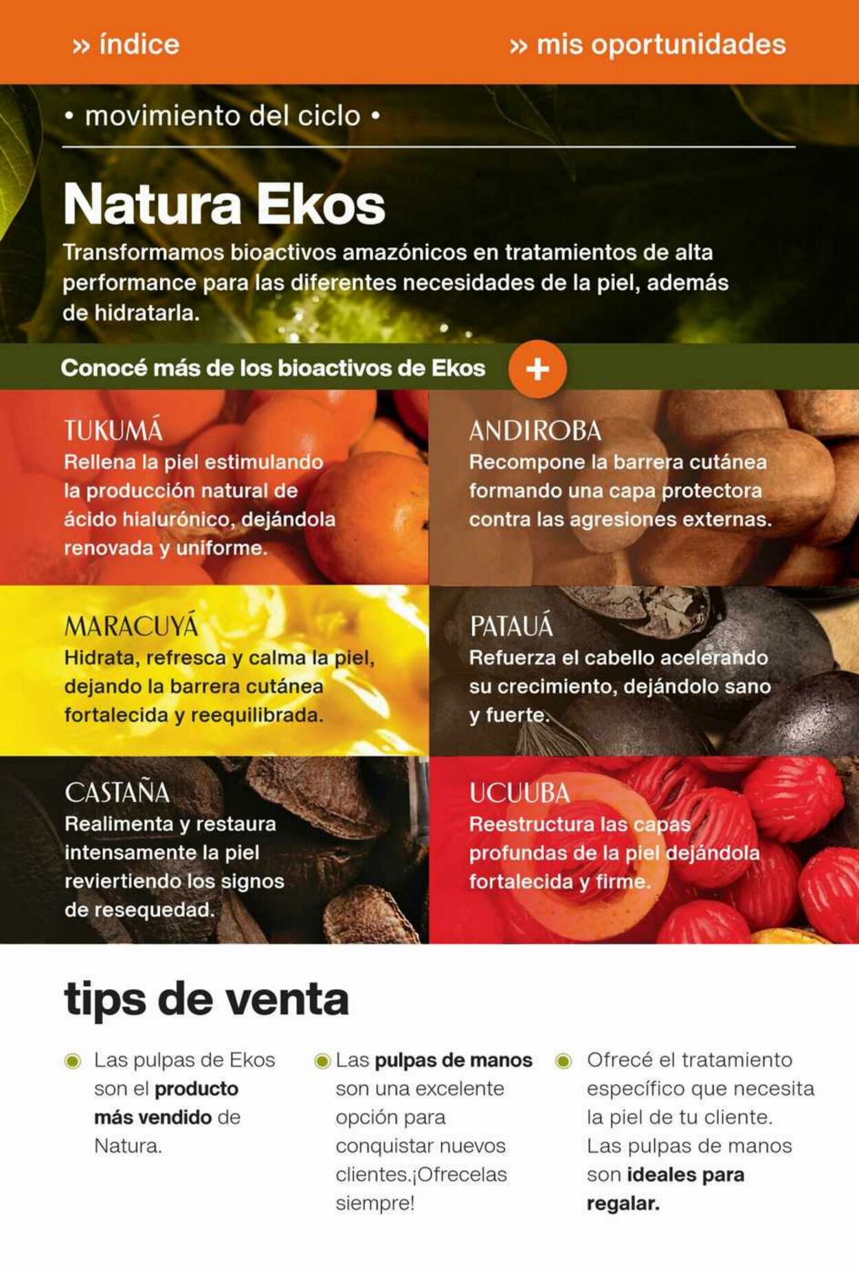 Folleto Natura 30.07.2023 - 19.08.2023