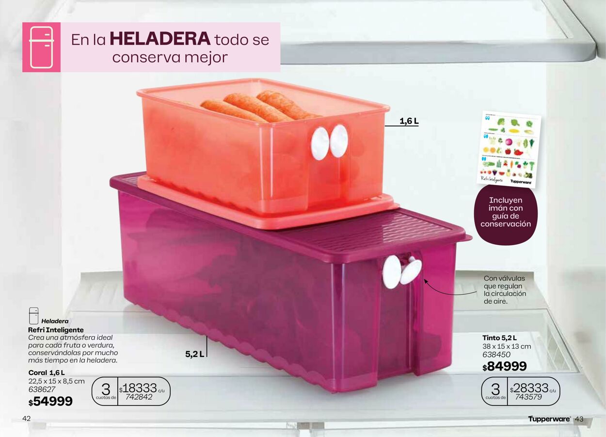 Folleto Tupperware 01.01.2025 - 31.01.2025