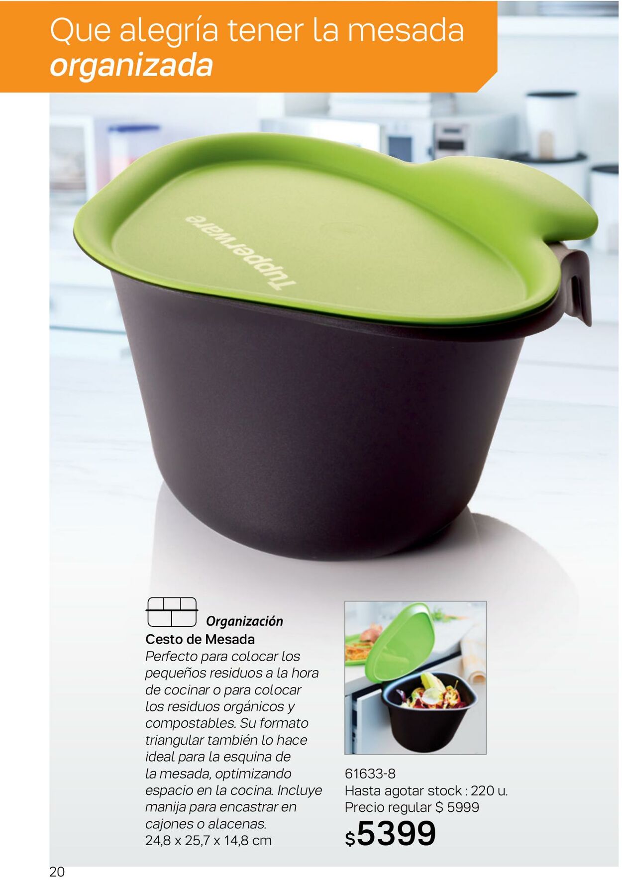 Folleto Tupperware 18.07.2022 - 31.08.2022