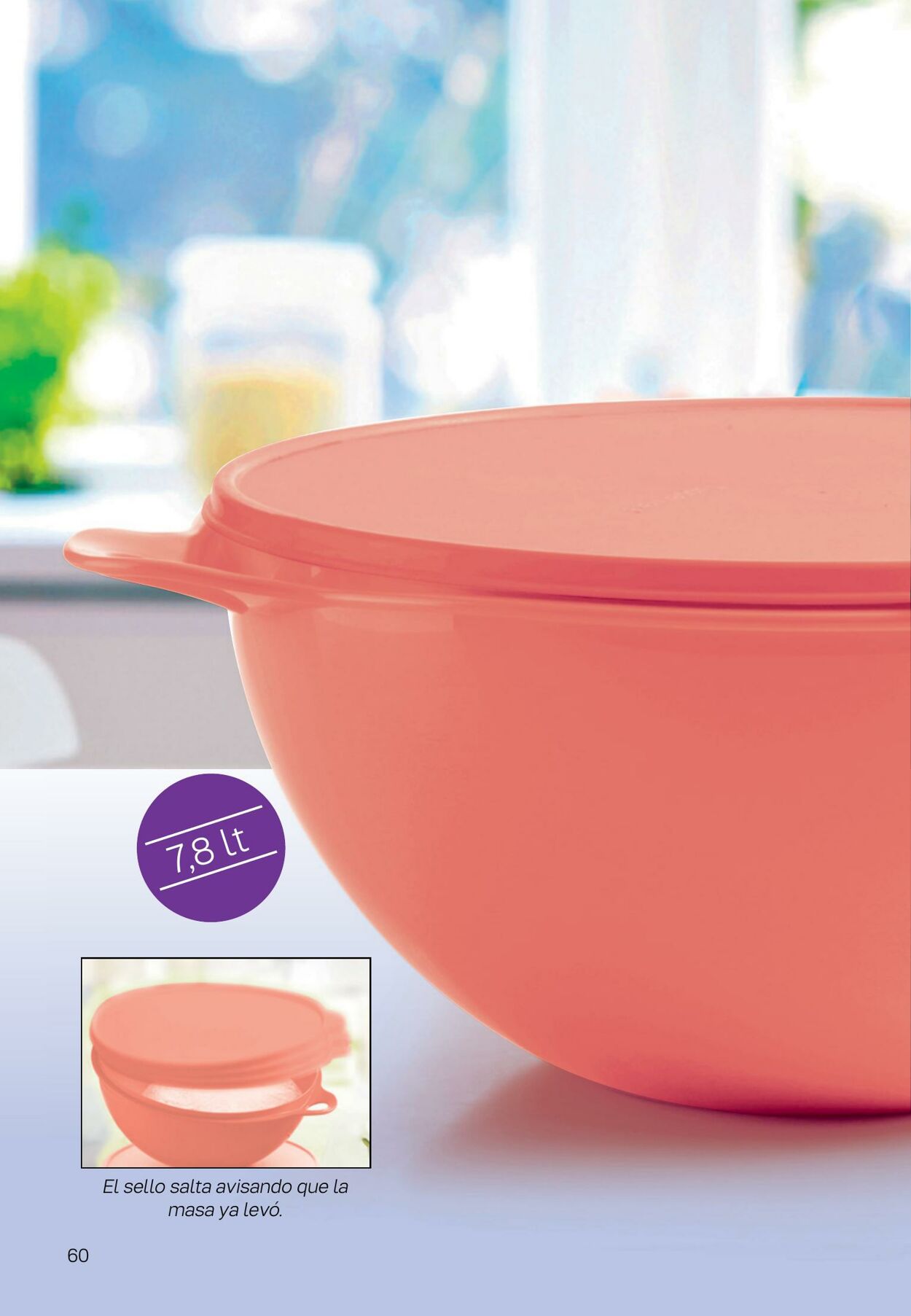 Folleto Tupperware 24.07.2023 - 20.08.2023