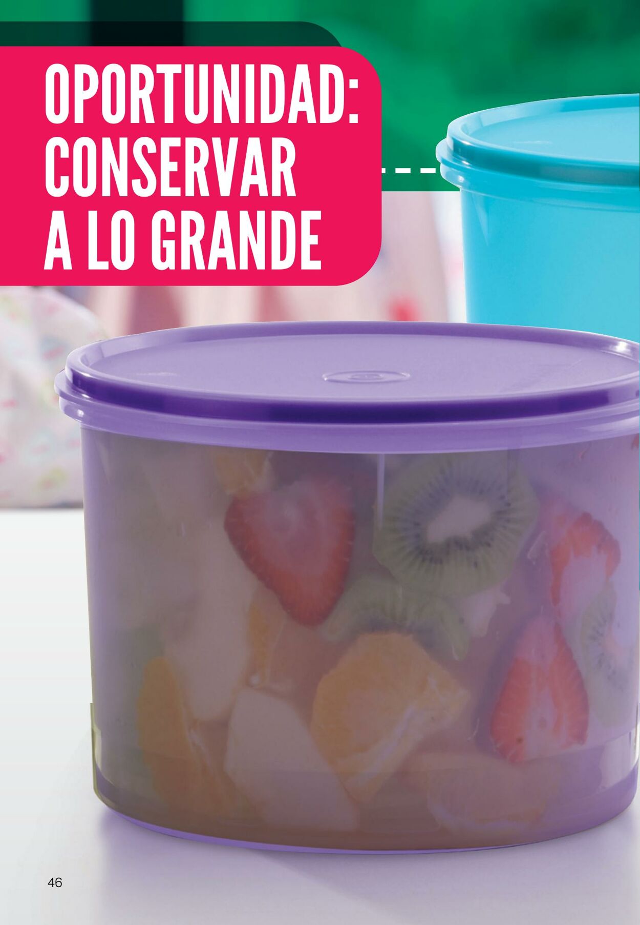 Folleto Tupperware 24.07.2023 - 20.08.2023