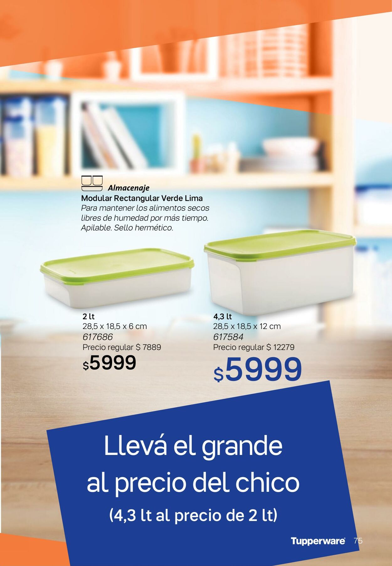 Folleto Tupperware 24.07.2023 - 20.08.2023