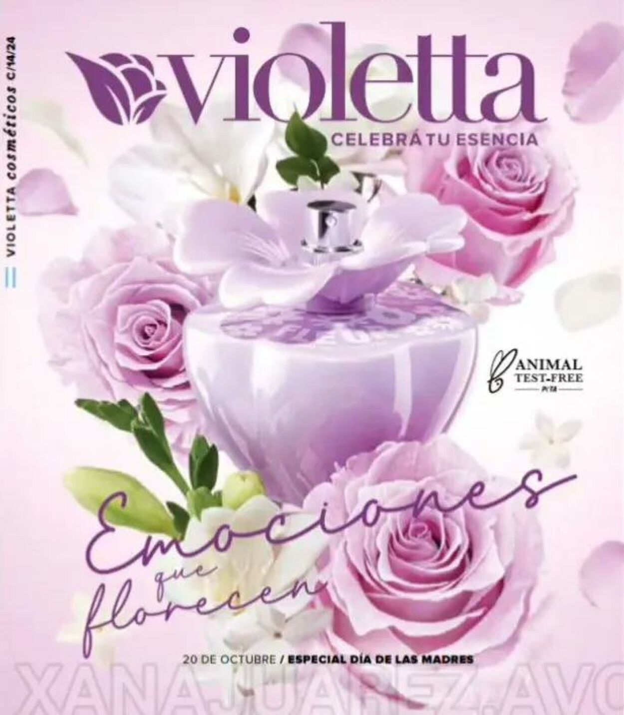 Violetta Folletos promocionales